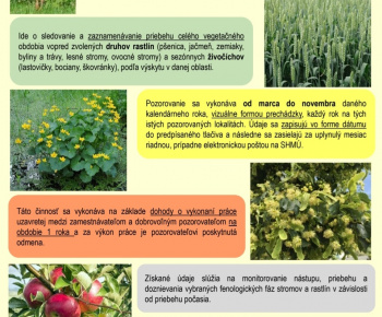 Aktuality / Hľadanie nového pozorovateľa fenologickej siete  - foto