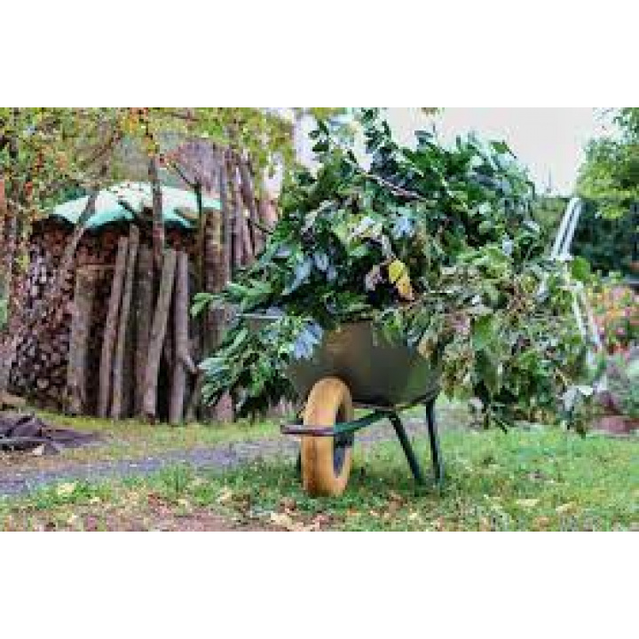 Posledný zber Bio odpadu 