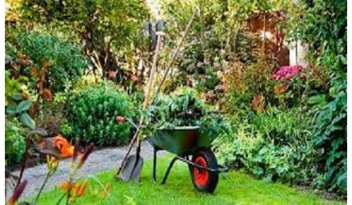 Posledný zber Bio odpadu zmena