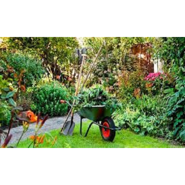 Posledný zber Bio odpadu zmena